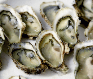 huîtres n°3 fines de claires