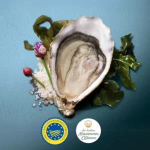 fine de claire huître n°3