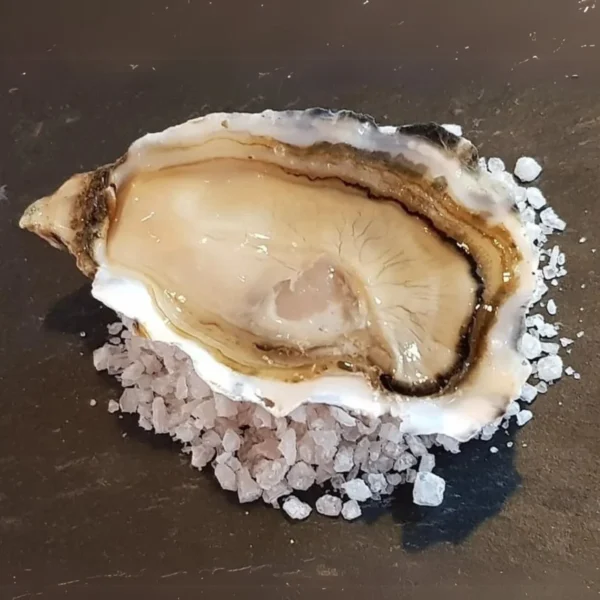 spéciale huître n° 2